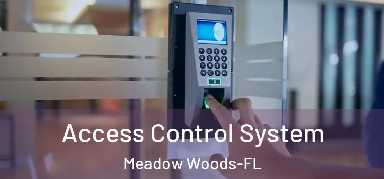 Access Control System Meadow Woods-FL