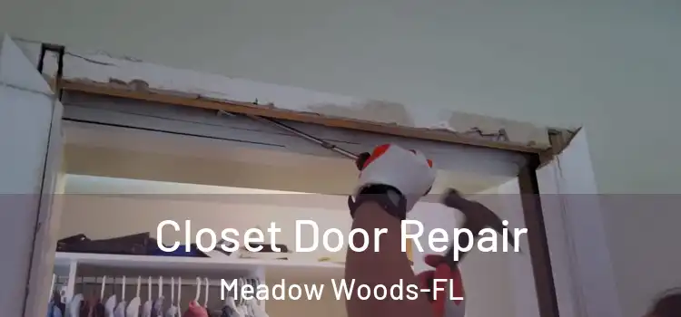  Closet Door Repair Meadow Woods-FL