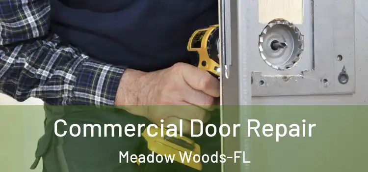 Commercial Door Repair Meadow Woods-FL