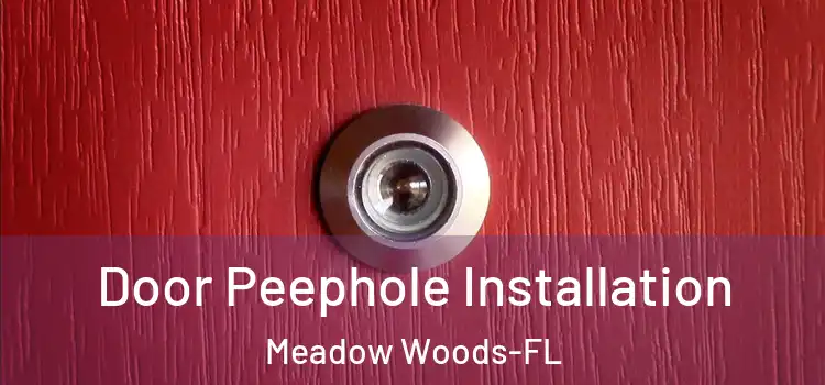  Door Peephole Installation Meadow Woods-FL