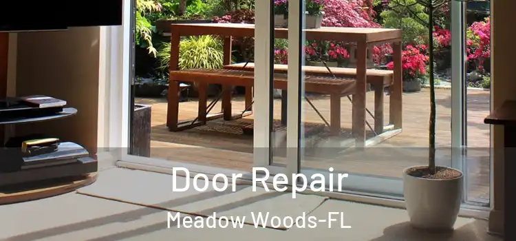  Door Repair Meadow Woods-FL