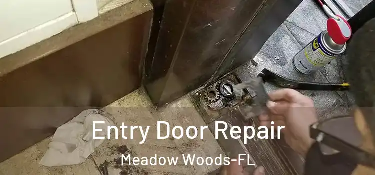 Entry Door Repair Meadow Woods-FL