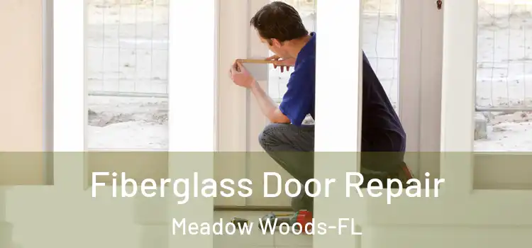 Fiberglass Door Repair Meadow Woods-FL