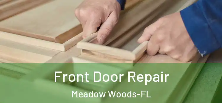  Front Door Repair Meadow Woods-FL