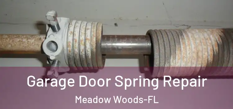  Garage Door Spring Repair Meadow Woods-FL
