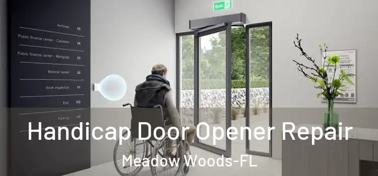 Handicap Door Opener Repair Meadow Woods-FL