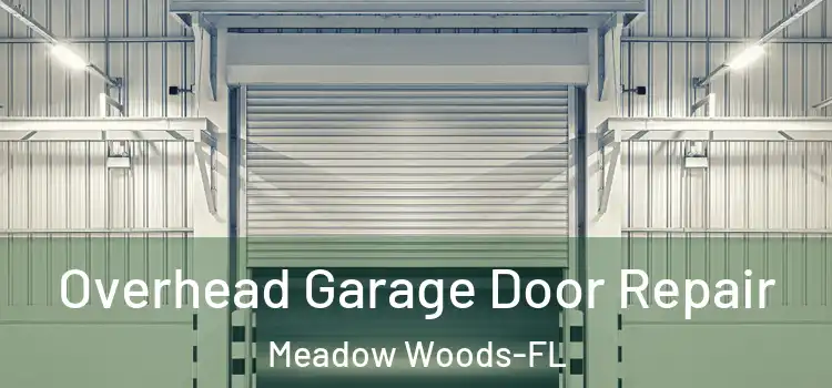  Overhead Garage Door Repair Meadow Woods-FL