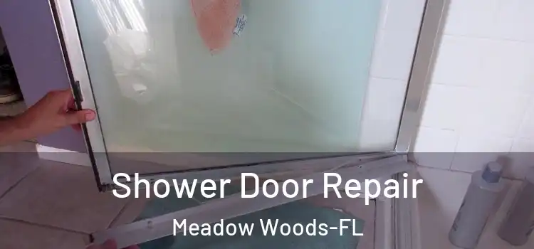  Shower Door Repair Meadow Woods-FL