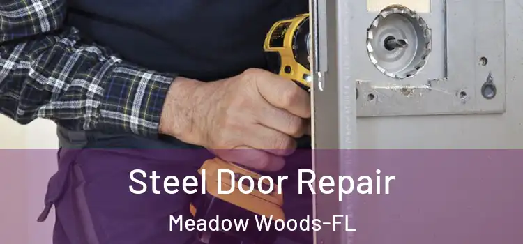Steel Door Repair Meadow Woods-FL