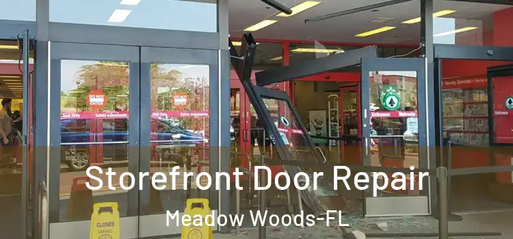 Storefront Door Repair Meadow Woods-FL